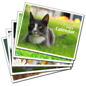 Wall Calendars - Colour and Style Printing